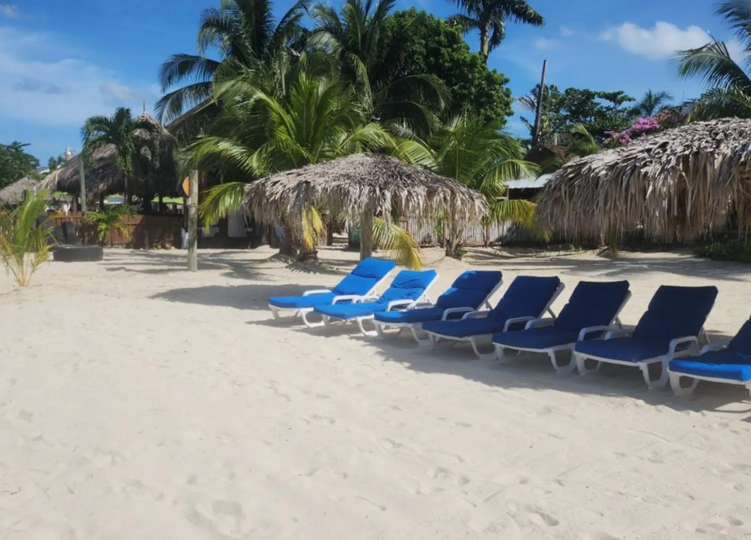 ***  נגריל Beachcomber Club Resort ג'מייקה