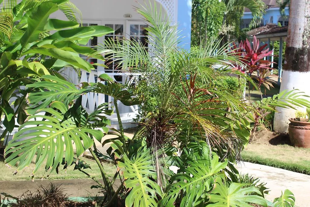 נגריל Beachcomber Club Resort